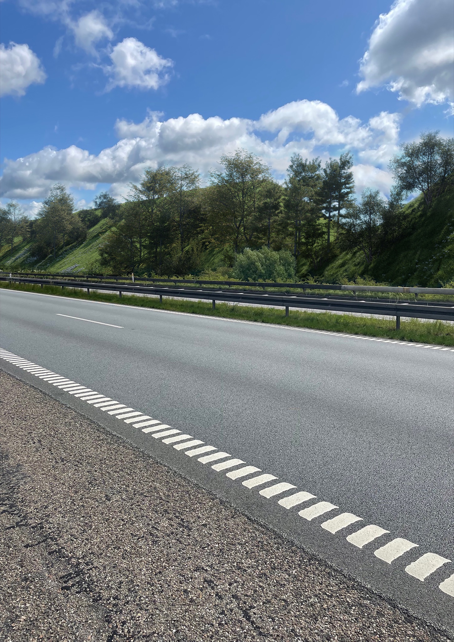 landscape render of the Sorø Støjvold noise barrier planting through the seasons
